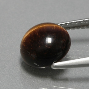 2.79カラットの天然ゴールドブラウンTiger's Eye（9.05 mm・ラウンドカット）
