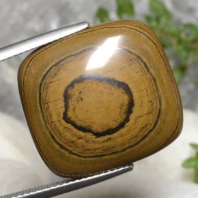 23.77カラットの天然ゴールデンブラウンTiger's Eye（21.2×19.7 mm・クッションカット）