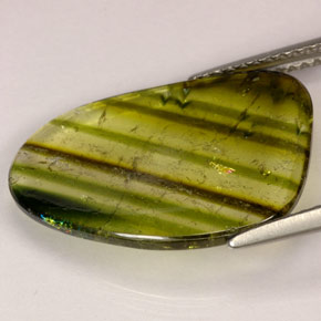 4.72カラットの天然マルチカラートルマリン（19.2×13.7 mm・透明）
