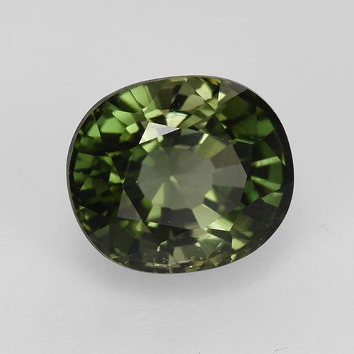 1.53カラットの天然フォレストグリーントルマリン（7×6.1 mm・オーバルカット）