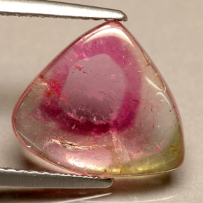3.30カラットの天然バイカラートルマリン（13.2×11.6 mm・透明）