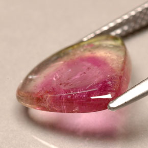 3.30カラットの天然バイカラートルマリン（13.2×11.6 mm・透明）