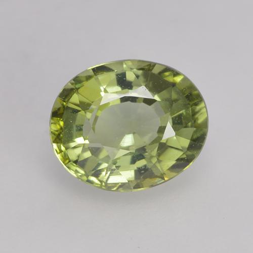 0.79カラットの天然薄いフォレストグリーントルマリン（6.3×5.2 mm・オーバルカット）