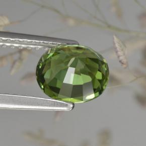 1.50カラットの天然グリーントルマリン（7.4×6.5 mm・オーバルカット）