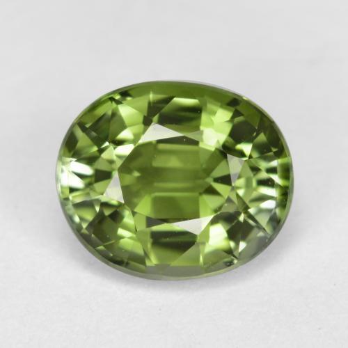 1.27カラットの天然フォレストグリーントルマリン（7.3×6.1 mm・オーバルカット）
