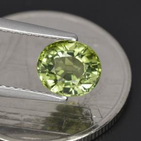 1.23カラットの天然グリーントルマリン（6.9×5.9 mm・オーバルカット）