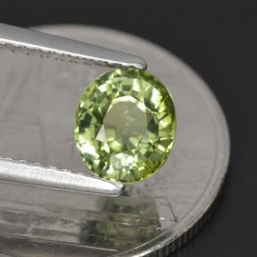 1.23カラットの天然グリーントルマリン（6.9×5.9 mm・オーバルカット）