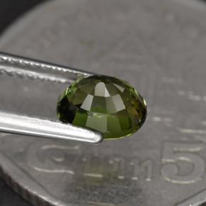 1.23カラットの天然ディープグリーントルマリン（6.9×5.8 mm・オーバルカット）