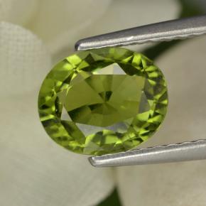 1.28カラットの天然グリーントルマリン（7.7×6.4 mm・オーバルカット）