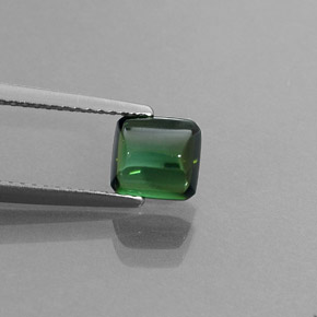 1.46カラットの天然グリーントルマリン（6.4×6.1 mm・透明）