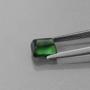 1.46カラットの天然グリーントルマリン（6.4×6.1 mm・透明）
