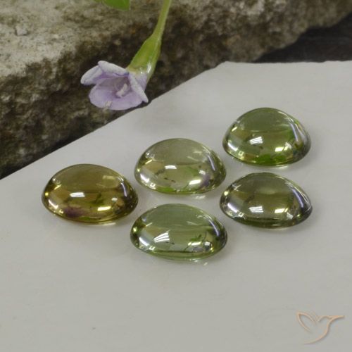Shop natural 5.25ct マルチカラー トルマリン gems, 楕円形, from モザンビーグ at GemSelect. In stock, global shipping!