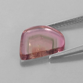 2.74カラットの天然ウォーターメロントルマリン（12.5×11.2 mm・透明）