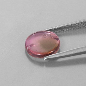 1.55カラットの天然バイカラートルマリン（8.5×8.5 mm・ファンシーシェイプ）