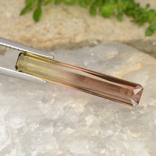 4.87カラットの天然バイカラートルマリン（25.6×4.6 mm・エメラルドカット）