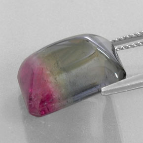 12.38カラットの天然バイカラートルマリン（14.7×12.5 mm・透明）