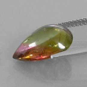 4.43カラットの天然ウォーターメロントルマリン（13.8×9.7 mm・透明）