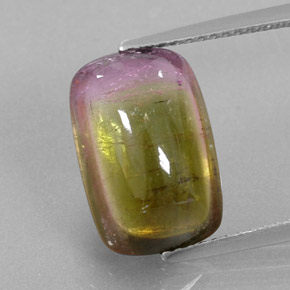 6.64カラットの天然バイカラートルマリン（14×9.4 mm・透明）