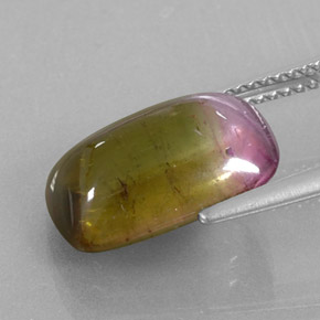 6.64カラットの天然バイカラートルマリン（14×9.4 mm・透明）