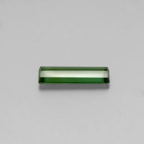 1.60カラットの天然グリーントルマリン（13.7×4.4 mm・エメラルドカット）