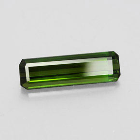 2.45カラットの天然ダークグリーントルマリン（15.4×4.6 mm・エメラルドカット）