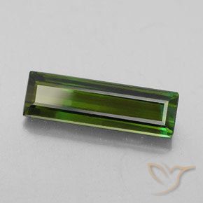2.92カラットの天然フォレストグリーントルマリン、八角形 / エメラルドカット、VS-SI