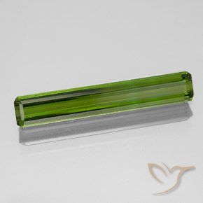1.51カラットの天然ダークグリーントルマリン、八角形 / エメラルドカット、VVS-VS