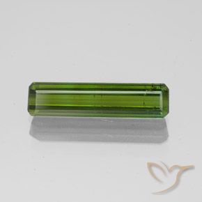 1.45ct 天然 フォレストグリーン トルマリン, エメラルドカット, SI