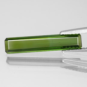 1.51カラットの天然ミディアムグリーントルマリン（18.1×3.8 mm・エメラルドカット）
