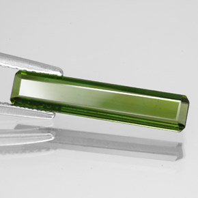 1.51カラットの天然ミディアムグリーントルマリン（18.1×3.8 mm・エメラルドカット）