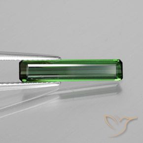 1.50カラットの天然クールフォレストグリーントルマリン、八角形 / エメラルドカット、VS