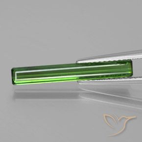 1.53ct 天然 フォレストグリーン トルマリン, エメラルドカット, VS