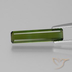 1.24ct 天然 ダークグリーン トルマリン, エメラルドカット, VVS