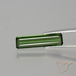 1.15ct 天然 フォレストグリーン トルマリン, エメラルドカット, VS