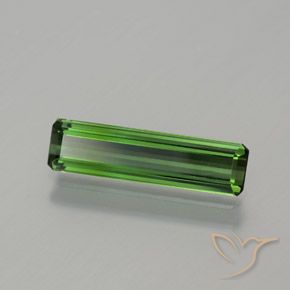 1.17カラットの天然フォレストグリーントルマリン、八角形 / エメラルドカット、VS