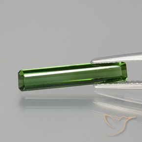 1.45カラットの天然ダークグリーントルマリン、八角形 / エメラルドカット、VVS-VS