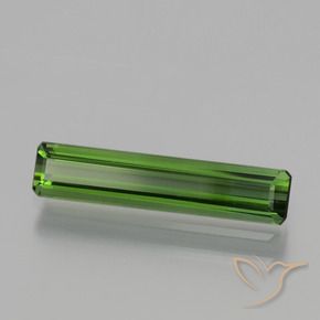1.21カラットの天然フォレストグリーントルマリン、八角形 / エメラルドカット、VVS-VS