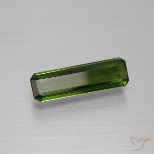 1.59カラットの天然フォレストグリーントルマリン（13.8×4.2 mm・エメラルドカット）