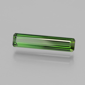 1.25カラットの天然ミディアムダークグリーントルマリン（14.1×3.2 mm・エメラルドカット）