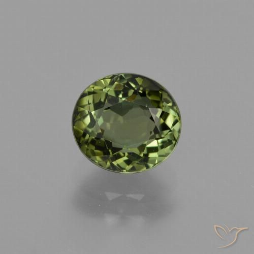1.26ct 天然 ダークグリーン トルマリン, 楕円形, VVS-VS