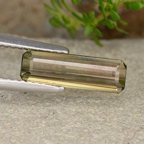 1.72 カラット ルース バイカラー トルマリン、12.8 x 4.2 mm 八角形カット、モザンビーク産, Photo A