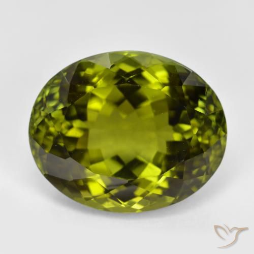 12.25ct 天然 ディープグリーン トルマリン, 楕円形, VVS-VS
