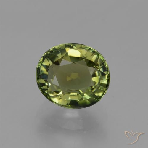 1.17ct 天然 ウォームグリーン トルマリン, 楕円形, VVS