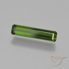 0.91カラットの天然フォレストグリーントルマリン、八角形 / エメラルドカット、VVS