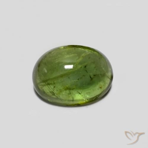 1.41ct 天然 ミディアムグリーン トルマリン, 楕円形, 透明