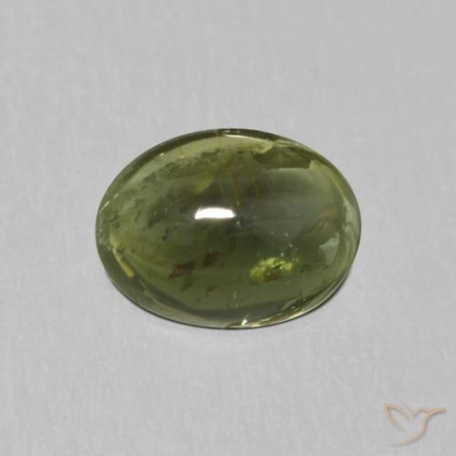 1.13ct 天然 フォレストグリーン トルマリン, 楕円形, 透明