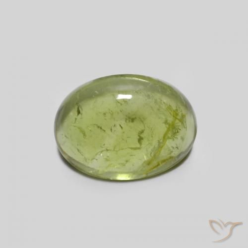 1.44ct 天然 オリーブグリーン トルマリン, 楕円形, 透明