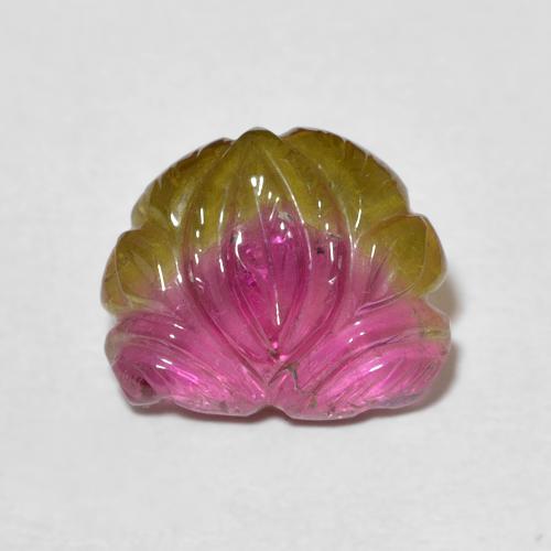 3.93ct 天然 バイカラー トルマリン, ファンシー, 透明