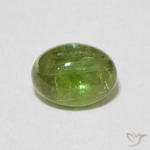 0.82ct 天然 ミディアムグリーン トルマリン, 楕円形, 透明