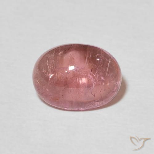 1.55ct 天然 ミディアムピンク トルマリン, 楕円形, 透明